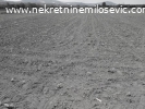 Prdaje se njiva od 5,5ha u Krcevcu.Cena 200EUR-a po aru
