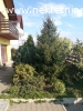 Prodaje se kuca u Vrscu pov.200m2,Cena 200.000,00EUR-a