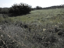 Prodaje se njiva u Banji pov.1,69ha.Cena 1.350EUR-a/aru