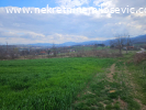 Prodaje se njiva u Satornji pov.50ari,cena 180EUR-a po aru.