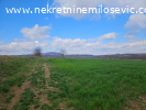 Prodaje se njiva u Satornji pov.50ari,cena 180EUR-a po aru.