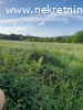 Prodaje se plac Arandjelovcu pov.1ha i 4ara,cena 10.000/ar