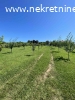Prodaje se plac u Arandjelovcu pov.11,32ara,cena 5.000E/AR