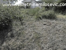Prodaje se plac u Arandjelovcu pov.6ari,cena 6500EUR po aru