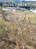 Prodaje se plac u Aranjdelovcu pov.1ha i 70 ari,cena 4000E/A