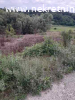 Prodaje se plac u selu Banja pov.95ari,cena 28.000,00EUR-a.
