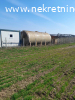 Prodaje se zasad borovnica u Orascu pov.1ha i 62ari