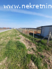Prodaje se zasad borovnica u Orascu pov.1ha i 62ari