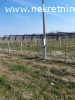 Prodaje se zasad borovnica u Orascu pov.1ha i 62ari