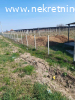 Prodaje se zasad borovnica u Orascu pov.1ha i 62ari