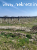Prodaje se zasad borovnica u Orascu pov.1ha i 62ari